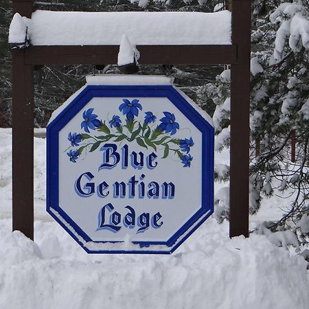 Blue Gentian Lodge At Magic Mountain Londonderry Kültér fotó