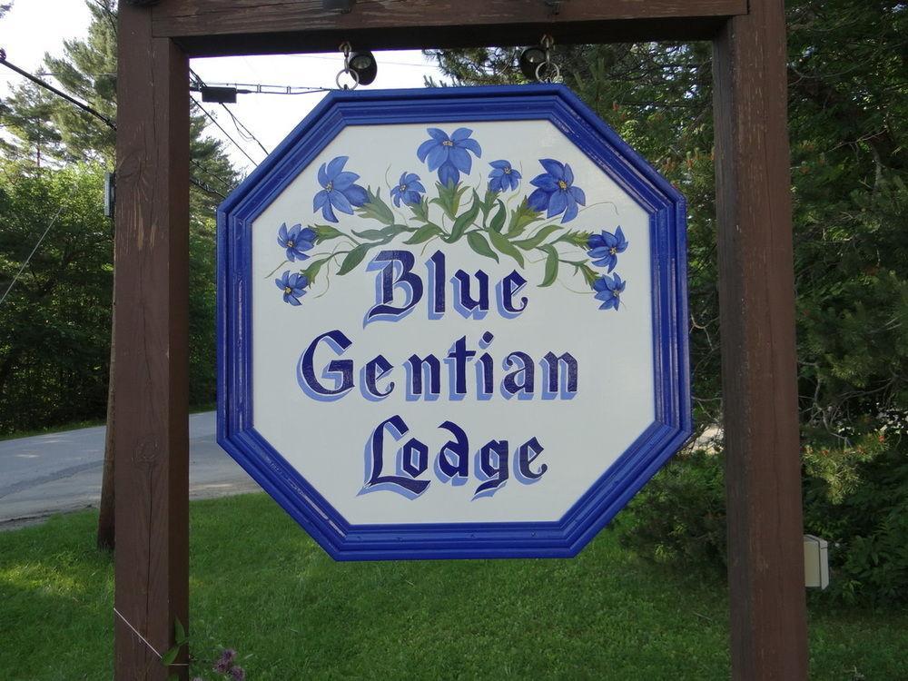 Blue Gentian Lodge At Magic Mountain Londonderry Kültér fotó