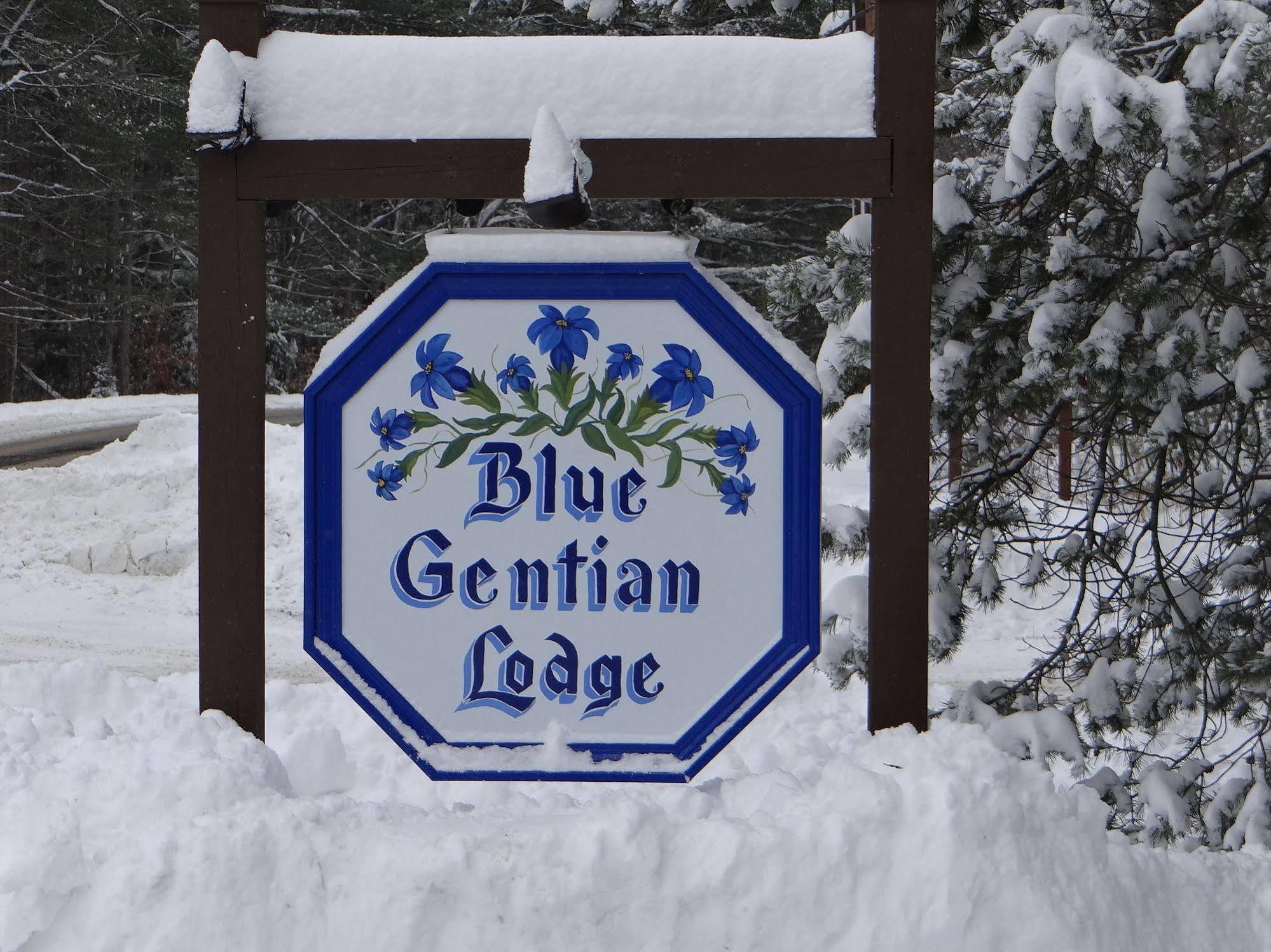 Blue Gentian Lodge At Magic Mountain Londonderry Kültér fotó