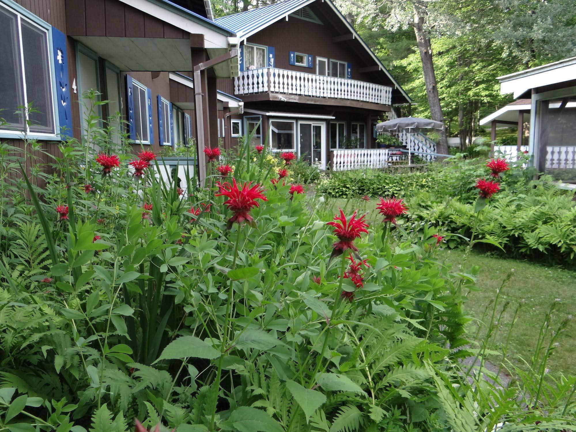Blue Gentian Lodge At Magic Mountain Londonderry Kültér fotó